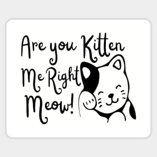 Are You Kitten Me Right Meow! Magnet